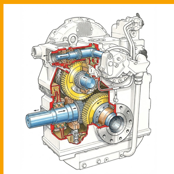 ZF BW 465 Marine Gearbox